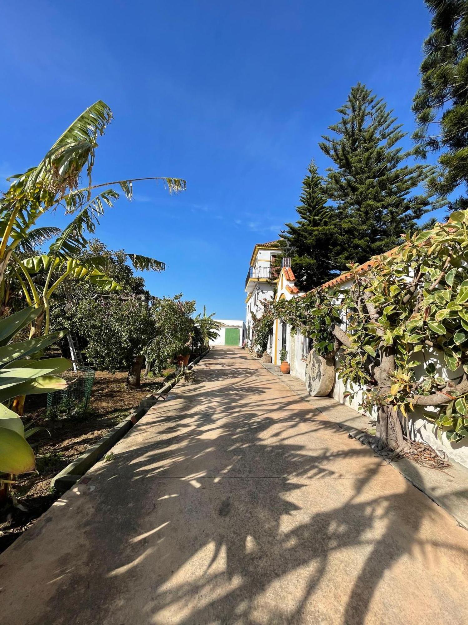 Finca La Tacita - Petunia Conil de la Frontera Kültér fotó